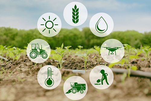 Agriculture Business Development